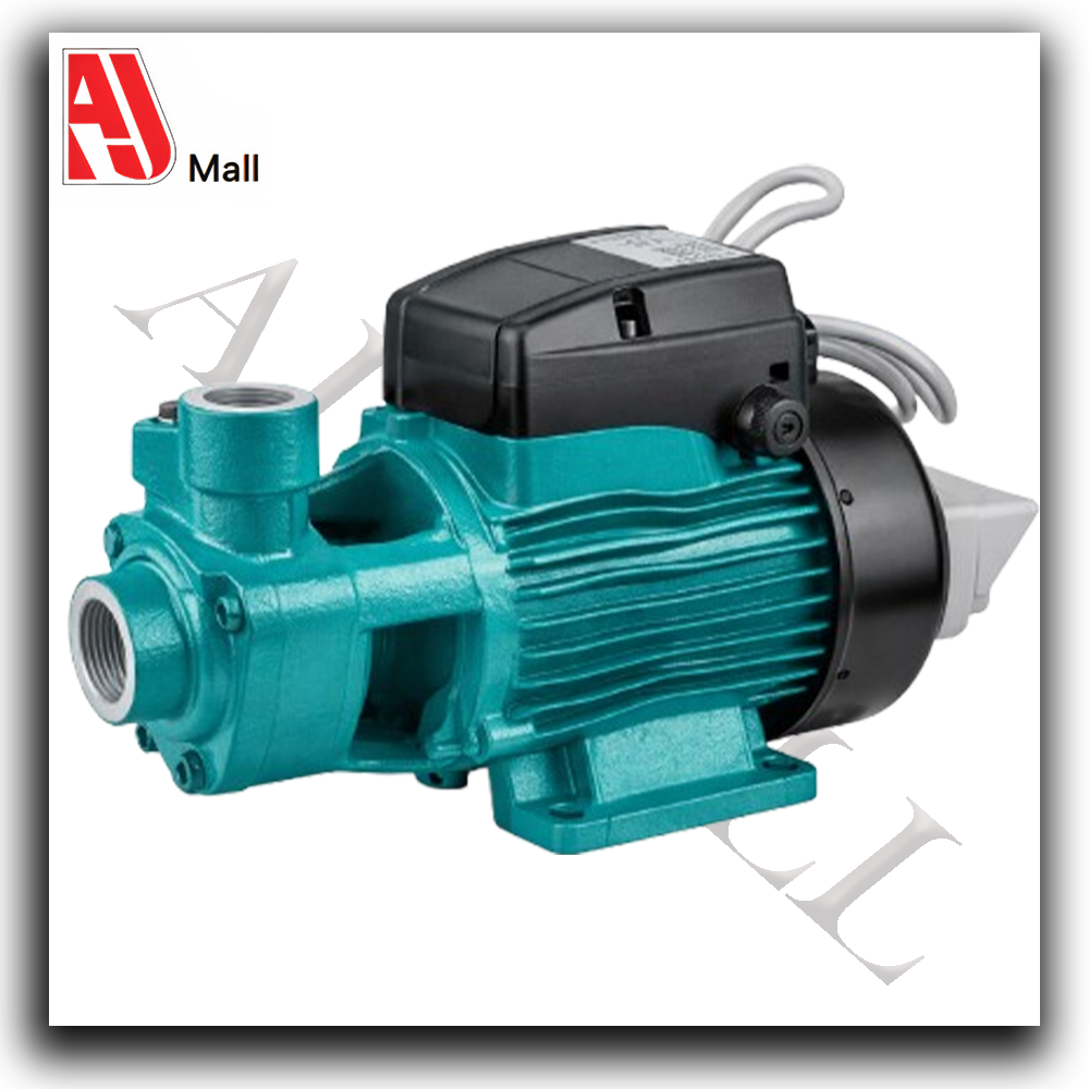 1/2 hp electric water pump